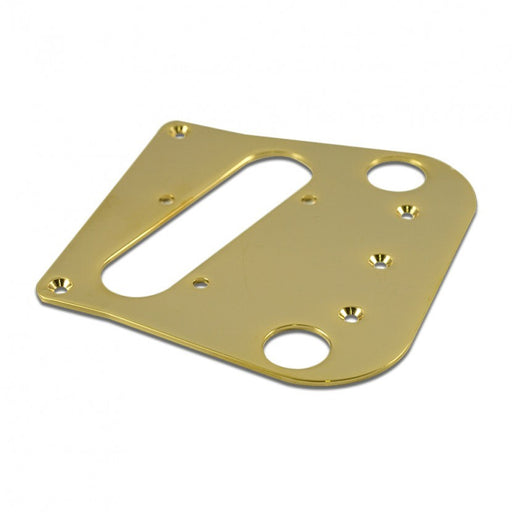 Bigsby Tele Pickup Mounting Adapter Plate Gold BIGSPLGM